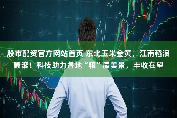 股市配资官方网站首页 东北玉米金黄，江南稻浪翻滚！科技助力各地“粮”辰美景，丰收在望