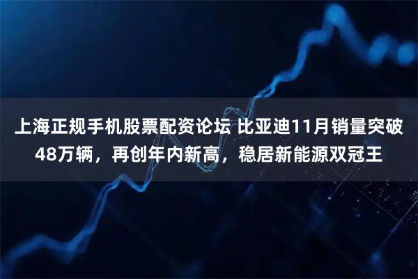 上海正规手机股票配资论坛 比亚迪11月销量突破48万辆,再创年内新高,稳居新能源双冠王