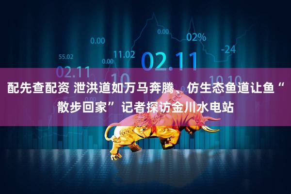配先查配资 泄洪道如万马奔腾、仿生态鱼道让鱼“散步回家” 记者探访金川水电站
