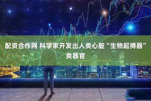 配资合作网 科学家开发出人类心脏“生物起搏器”类器官